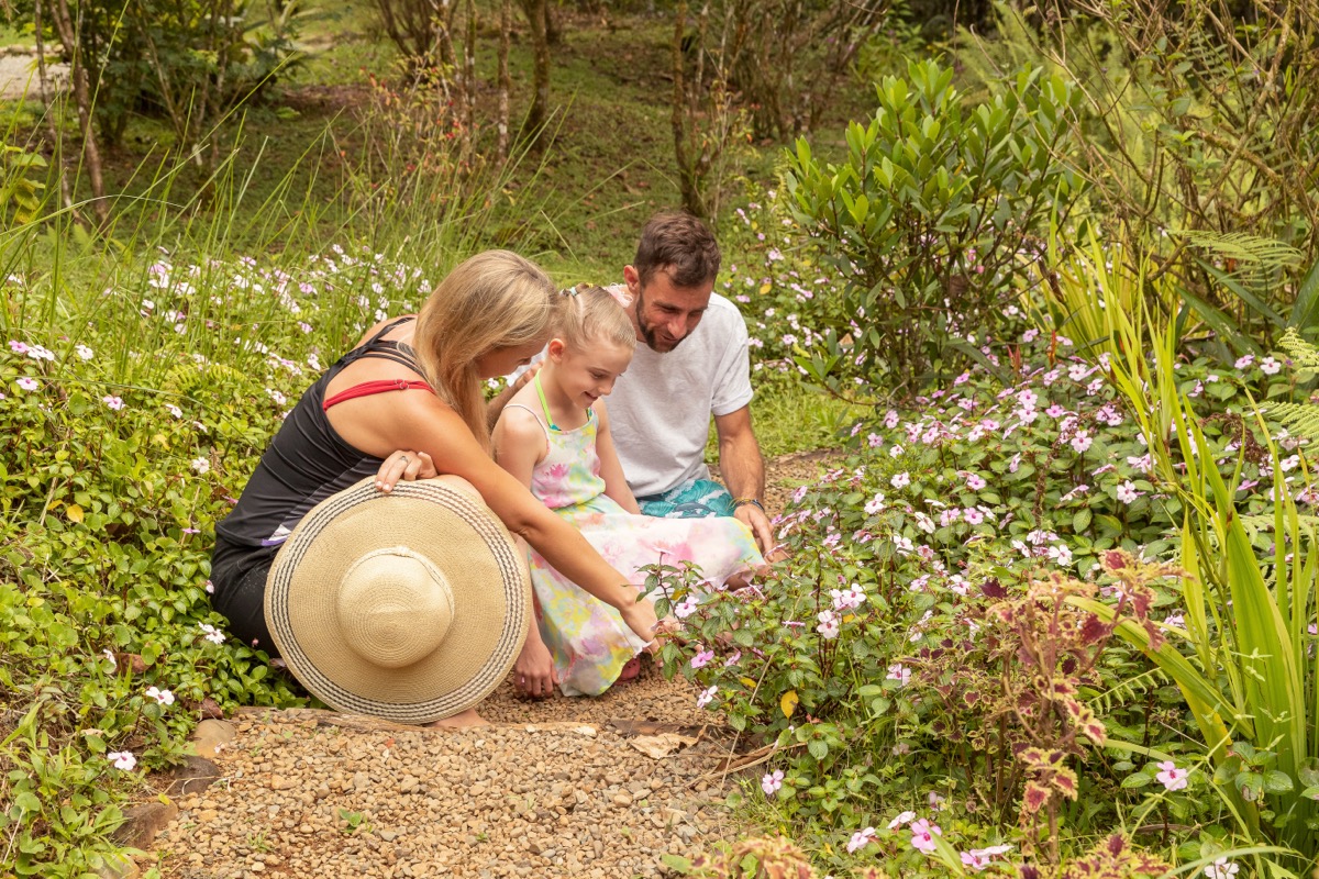 Finca day farm activities